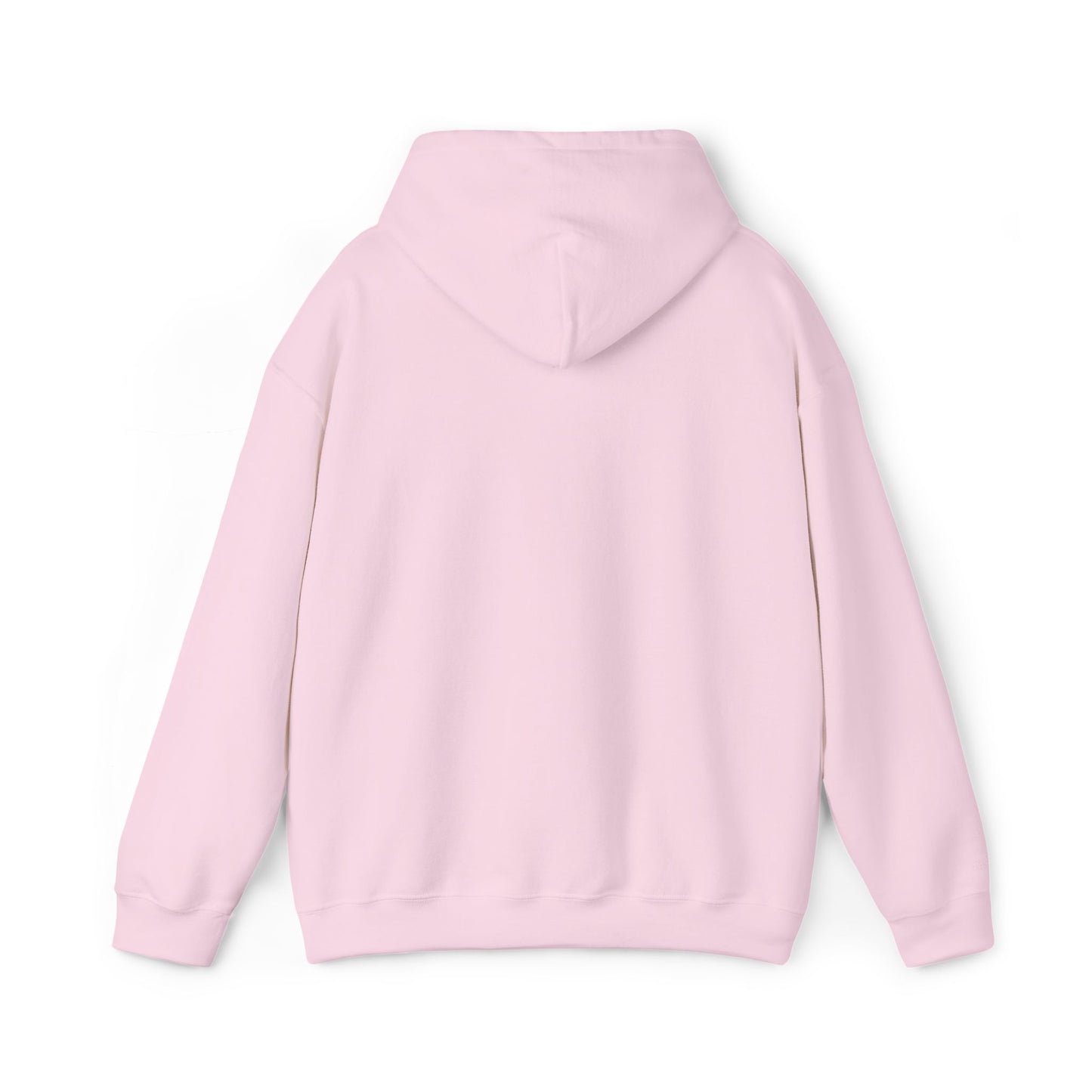 Light pink (embroidery) hoodie